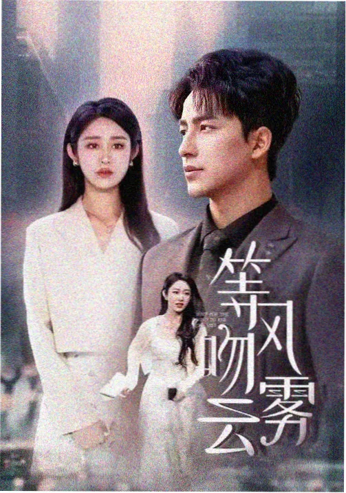十七楼的风 职场剧在线观看